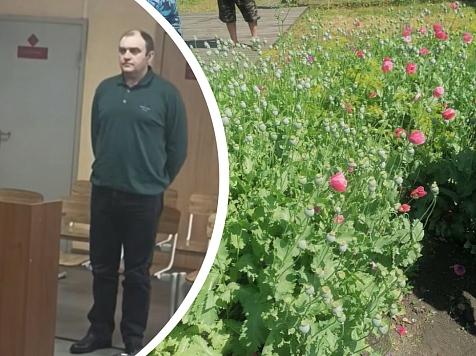 Мужчине, вырастившему более килограмма наркотического мака вынесли приговор. Фото: краевая прокуратура