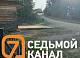 Медведи атакуют Красноярский край: хищники утаскивают собак и подходят к школам
