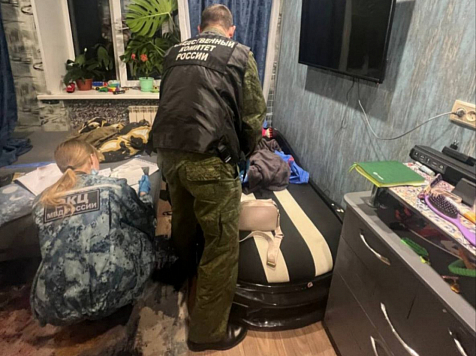 Ударила ножом много раз. А после положила на диван и укрыла