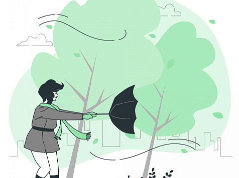 Красноярцев предупредили о сильном ветре 7 ноября . Фото: freepik.com