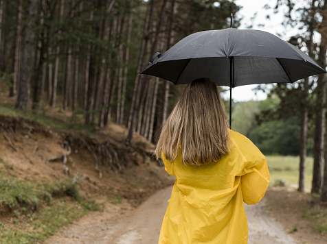 В Красноярске 1 сентября в пятницу днём ожидается +23°C. Фото: ru.freepic.com