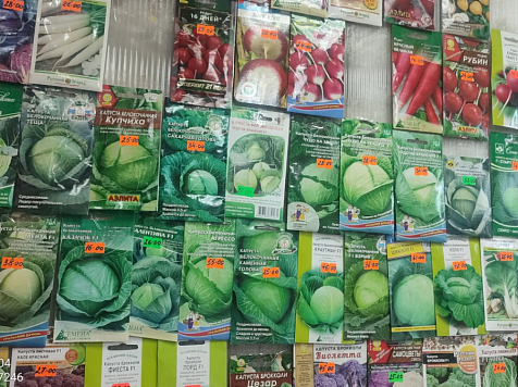 «Гаргамель, сердцеедка и чудеса»: в красноярских магазинах продают семена фейковых сортов овощей. Фото: Россельхознадзор по краю
