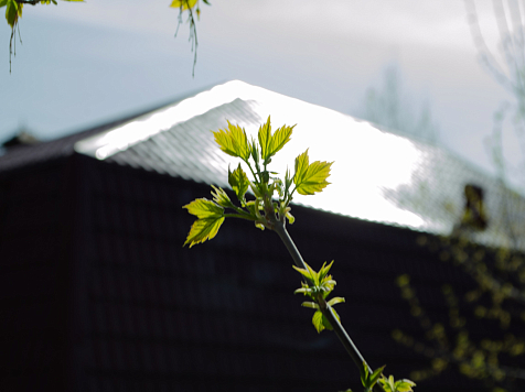 Начало апреля Красноярск проведет со спокойной погодой. Фото: JN Photos / VK
