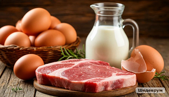 Ртуть в рыбе и листерии в мясе: названы итоги проверок в Красноярском крае