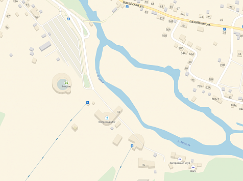 Остров под «Бобровым логом» превращают в парк для спорта и отдыха: заказан проект. Скрин: yandex.ru/maps