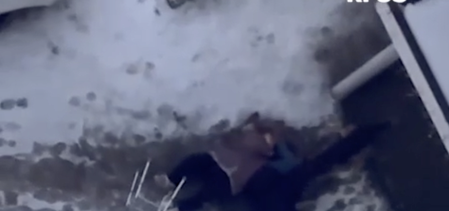 В Красноярске возбудили уголовное дело после нападения соседской собаки на пенсионерку