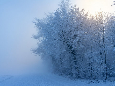 В Красноярске на следующей неделе ожидается снег и похолодание до – 21 градуса. Фото: pixabay 