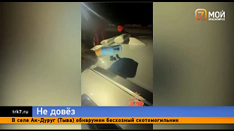 Ещё одна крупная партия наркотиков не дошла до Красноярска