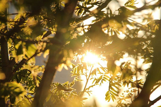 Красноярск встал на порог потепления