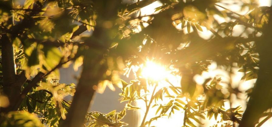 Красноярск встал на порог потепления