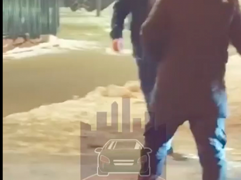 Напавшего с ножом на прохожих водителя Honda задержали в Красноярске. Скриншот видео: t.me/kraschp
