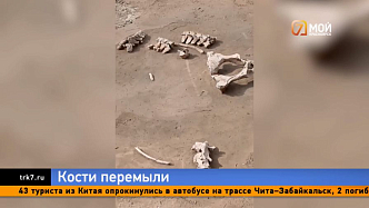В Красноярске археологи откопали «кухню» ледникового периода
