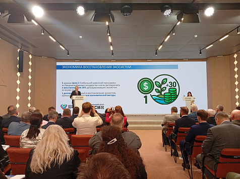 Проекты ПОРА вошли в национальный доклад «Арктическое досье». Фото: ПОРА