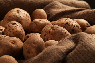 Монголия попросила семенной картофель у Красноярского края 