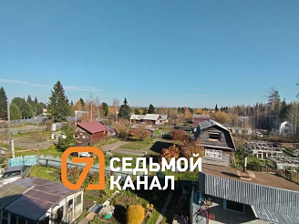 В Красноярском крае медведь вышел к дачному поселку