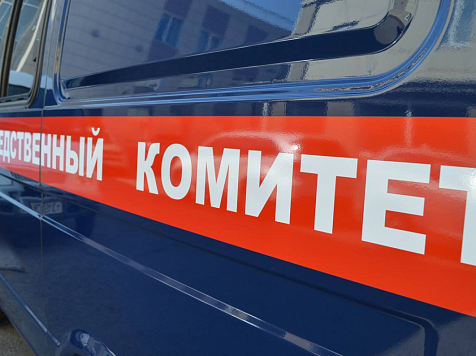 Бастрыкин взял на контроль дело об оскорблении Бессмертного полка в Красноярском крае. Фото: СК Красноярского края