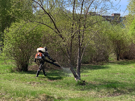 В Красноярске начали обрабатывать набережные и парки от клещей. Фото: МАУ «КрасГорпарк»/tg.me