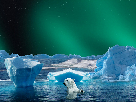 Эксперты ПОРА: взаимодействие с коллегами из разных стран крайне важно для будущего Арктики . Фото: pixabay.com