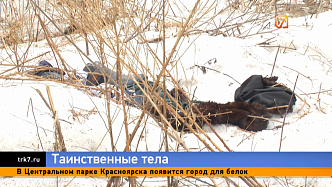 «Крысы, собаки пообглодали»: два тела нашли рядом с красноярской БСМП