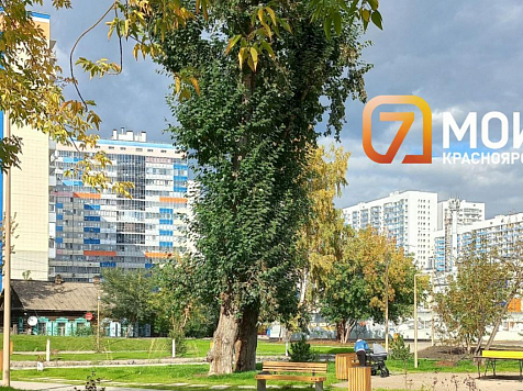 Темпы строительства жилья в Красноярском крае в 2022 году выросли на 43%					     title=