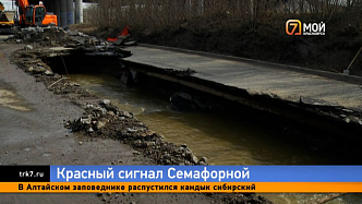 После провала асфальта у Мичуринского моста движение встало