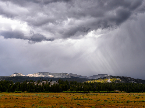 Красноярцев ждёт пасмурная и дождливая неделя. Фото: ru.freepik.com