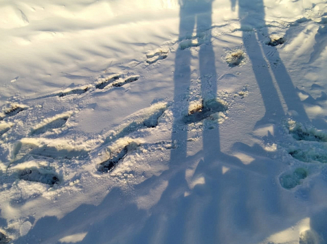 Разлив 15 тонн топлива на севере Красноярского края локализован . Фото: Александр Кулешов, Вконтакте