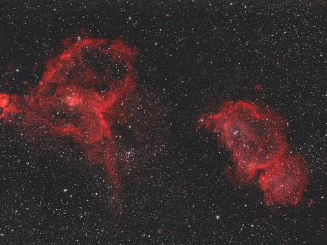 «Роскосмос» показал букет звездных роз на 8 марта. Фото: Николай Вдовин / Роскосмос