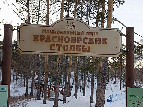 Вход на Красноярские Столбы ограничили из-за угрозы падения деревьев после урагана. Фото: Наталия Тихомирова