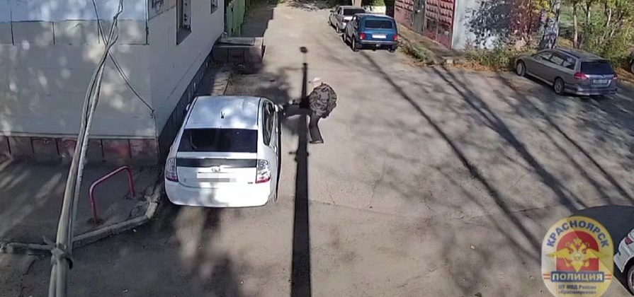 В Красноярске мужчина пинал автомобиль соседки из-за неприязни