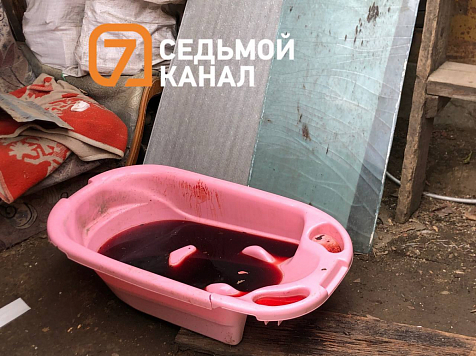 Ванна с кровью и следы волочения: жуткие кадры из дома, где мать убила троих детей					     title=