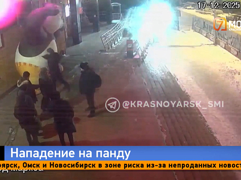 Самурай напал на панду у кинотеатра «Луч» в Красноярске