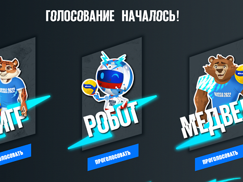 Красноярцы могут проголосовать за талисман чемпионата мира по волейболу-2022. Фото: https://mascot.volley2022.ru/
