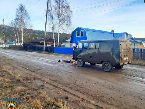 Пьяный водитель в Красноярском крае насмерть сбил пожилого пешехода, шедшего по дороге. Фото: ГИБДД