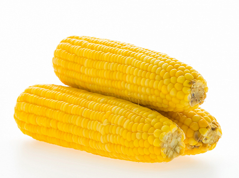 Исследование доказало опасность кукурузы, которой отравились красноярцы. Фото: freepik.com