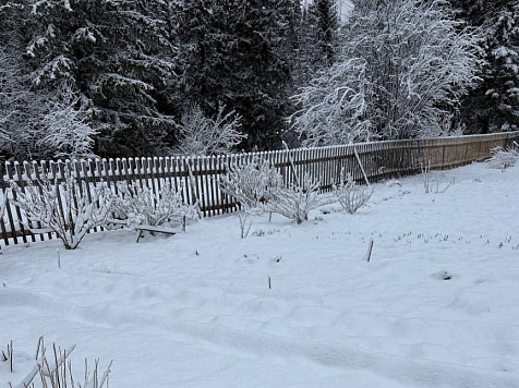 Неделя в Красноярске начнется с двух дней резкого холода. Фото: ЧП 124 / Telegram