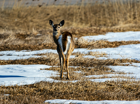 В Красноярске 4 марта похолодает до -1°C . Фото: unsplash.com