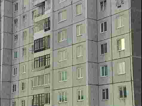 Кот выпал из квартиры и сломал лапу: хозяин отказался лечить его в клинике. Кадр: архив «7 канала»