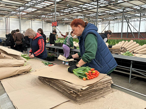 В Красноярске начали расти цены на цветы. Фото: администрация Красноярска