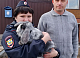 Красноярские полицейские позаботились о кроликах, которые попали в ДТП