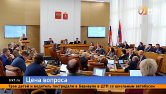 Власти удвоили ставки за поимку бездомных собак в Красноярске 