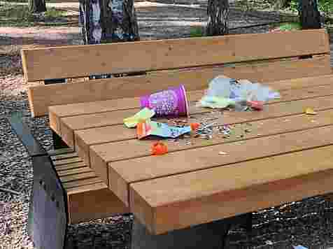 Красноярцы замусорили «Гремячую гриву». Фото: instagram.com/grivapark