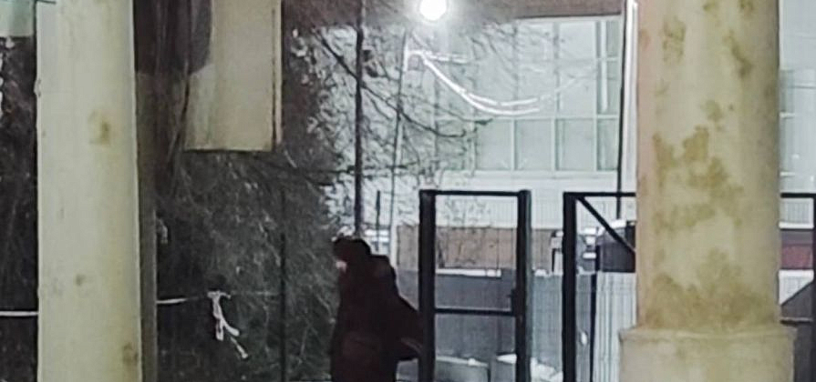 "Если человек потерялся ночью, почти наверняка он до утра не доживёт": замерзающих в сугробах красноярцев будут спасать волонтеры отряда «Лиза Алерт»