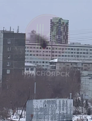 Пять собак погибли при пожаре в многоэтажке на Ладо Кецховели