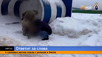 Жителя Емельяновского района задержали за комментарии в соцсетях