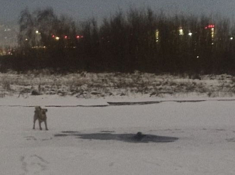 Красноярец провалился под лед и утонул во время прогулки с собакой. Фото: КГКУ «Спасатель»