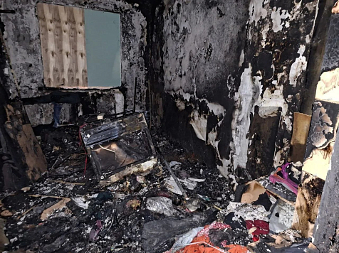 Собака из Ачинска погибла, спасая девочку от пожара. Фото: МЧС