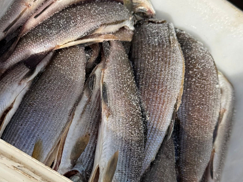 Россельхознадзор Красноярского края призвал с осторожностью покупать рыбу на рынке «Новая Взлетка». Фото: Россельхознадзор Красноярского края