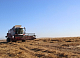 Красноярский край вложит в село почти 30 млрд рублей