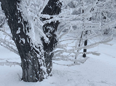 Красноярск подошел к прохладному уикэнду. Фото: Богдан Панасюк